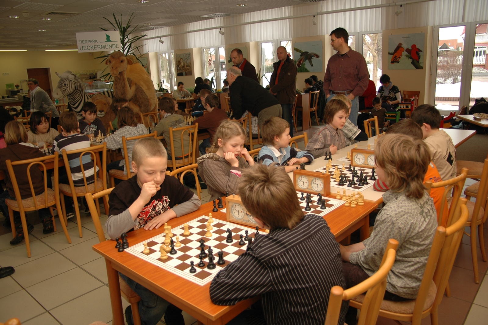 Vorschau